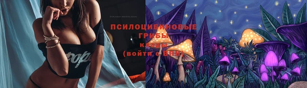 а пвп мука Медвежьегорск
