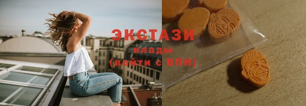 стаф Медногорск