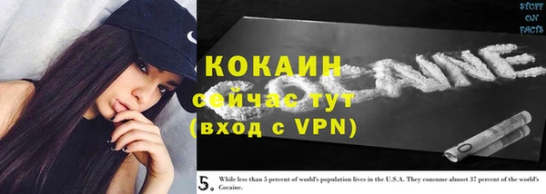 стаф Медногорск