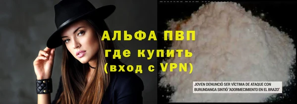 стаф Медногорск