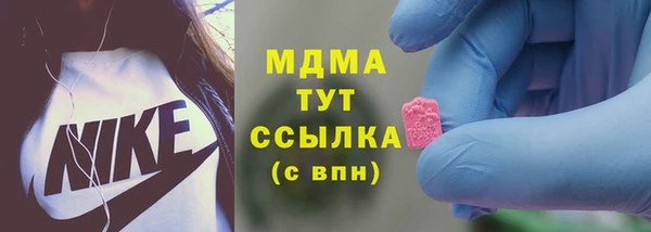 стаф Медногорск