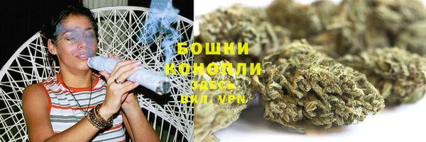 МДПВ Мегион
