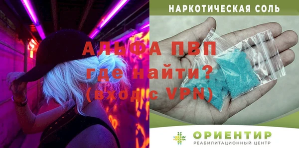 стаф Медногорск