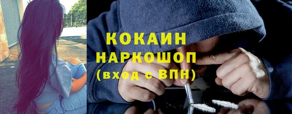 стаф Медногорск