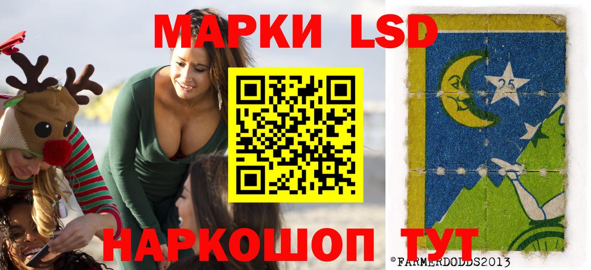 Меф Мичуринск