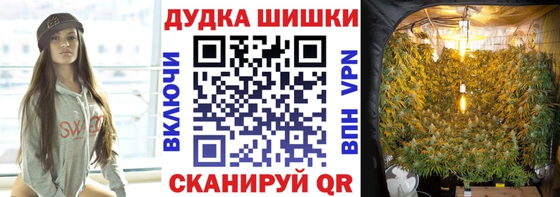 Бошки Шишки White Widow Мичуринск