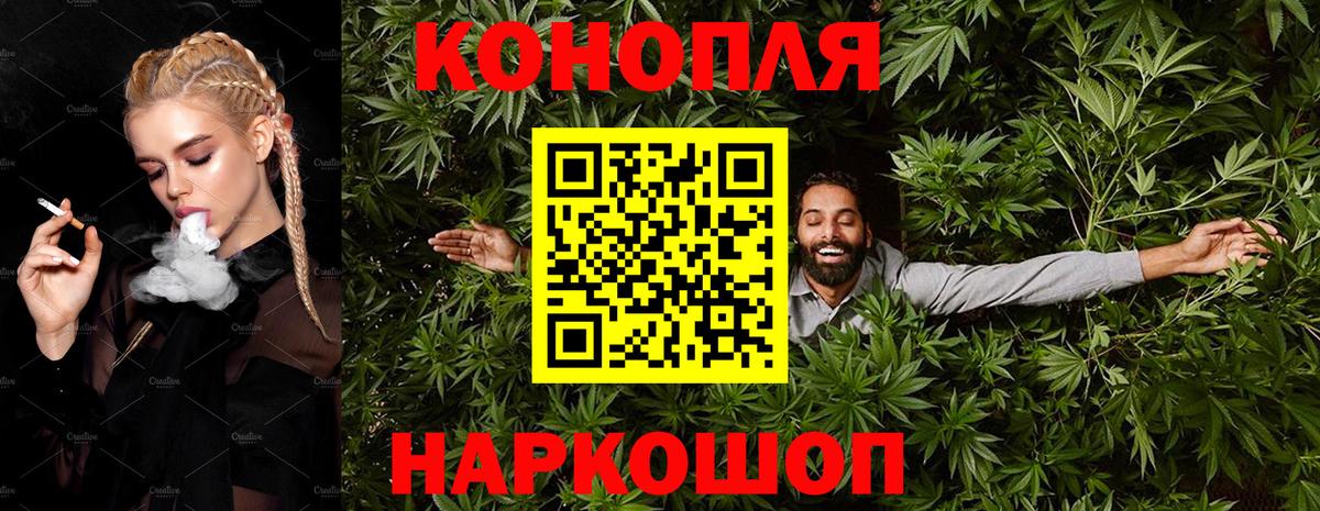 Канабис сатива Мичуринск